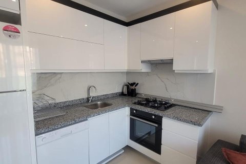 1+0 Lejlighed  i Alanya, Antalya, Tyrkiet Nr. 223181 - 3