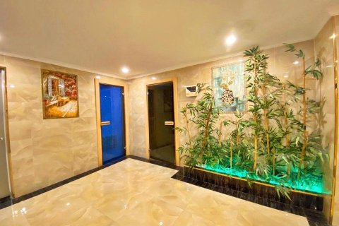 3+1 Lägenhet i Kestel, Antalya, Turkiet Nr. 218651 - 27