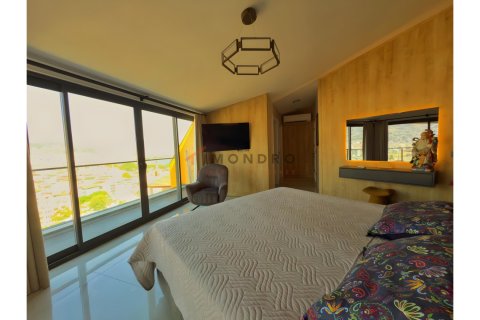 3+1 Lejlighed i Antalya, Tyrkiet Nr. 215217 - 13