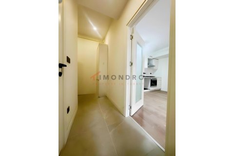 آپارتمان در Besiktas، Istanbul ، ترکیه 1 خوابه ، 45 متر مربع. شماره 226841 - 15