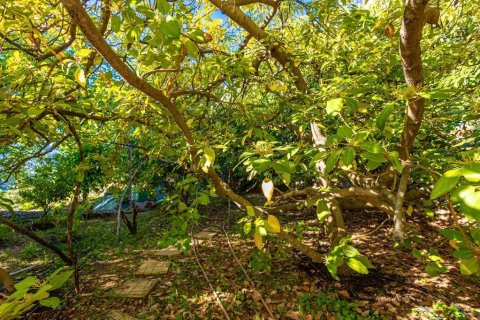 Villa for sale  in Kestel, Antalya, Turkey, 2 bedrooms, 150m2, No. 228673 – photo 28