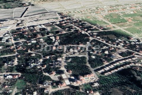 Tömma  i Kemer, Antalya, Turkiet Nr. 221266 - 2