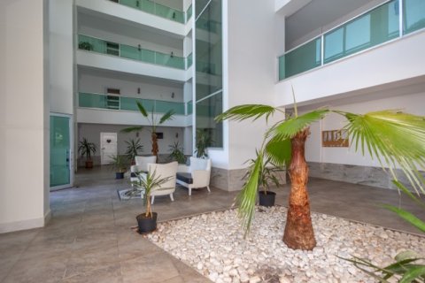 3+1 Wohnung in Antalya, Türkei Nr. 222800 - 22