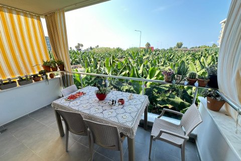 Продажа квартиры в Кестеле, Анталье, Турция 2+1, 130м2, №237942 – фото 20