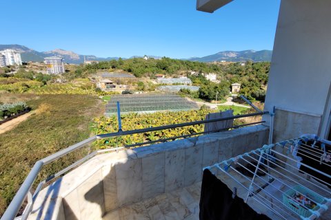 1+1 Lejlighed i Alanya, Antalya, Tyrkiet Nr. 237872 - 10