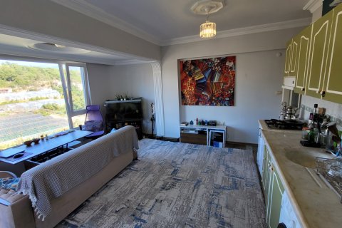 1+1 Lejlighed i Alanya, Antalya, Tyrkiet Nr. 237872 - 2