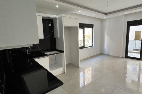 1+0 Apartment  in Alanya, Antalya, Turkey No. 228270