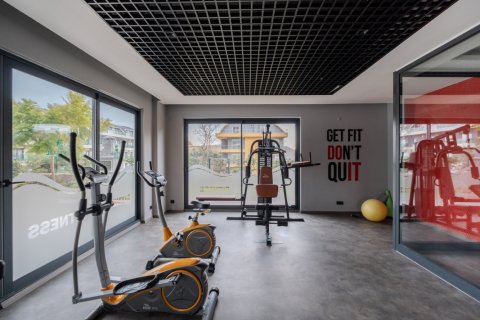 1+1 Wohnung  in Alanya, Antalya, Türkei Nr. 228259 - 13