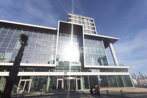 1+1 Lägenhet i istanbul, Turkiet Nr. 213461 - 4