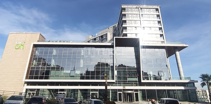 1+1 Lägenhet i istanbul, Turkiet Nr. 213461