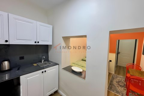 5+1 Villa i Fatih, Istanbul, Tyrkiet Nr. 237843 - 19