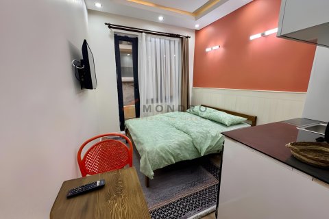 5+1 Villa i Fatih, Istanbul, Tyrkiet Nr. 237843 - 10