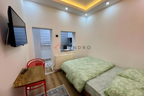 5+1 Villa i Fatih, Istanbul, Tyrkiet Nr. 237843 - 21
