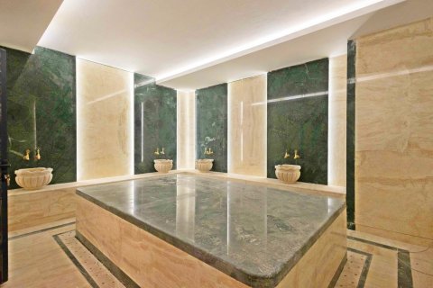Daire  1+1  Alanya, Antalya, Türkiye №216920 - 7