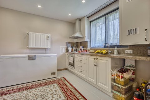 Villa for sale in Bueyuekcekmece, Istanbul, Turkey, 10 bedrooms, 750m2, No. 223166 – photo 16