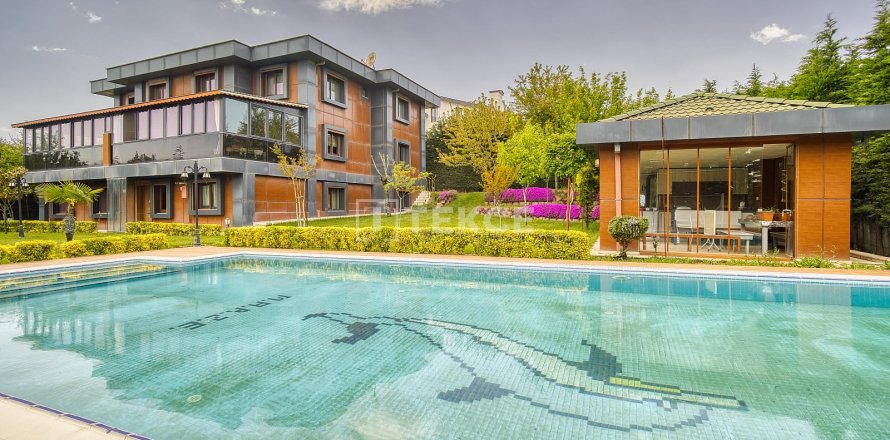 10+3 Villa in Bueyuekcekmece, Istanbul, Turkey No. 223166