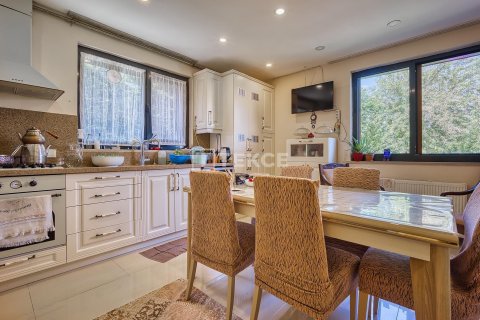 Villa for sale in Bueyuekcekmece, Istanbul, Turkey, 10 bedrooms, 750m2, No. 223166 – photo 14