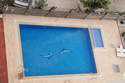 Wohnung in Mahmutlar, Antalya, Türkei Nr. 212234 - 18