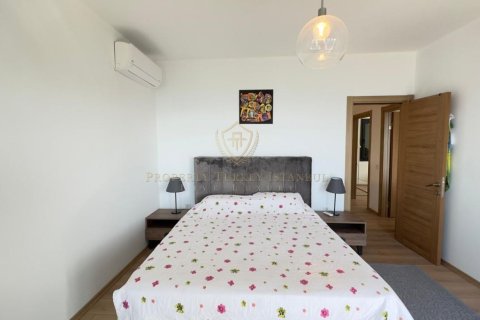 3+1 Villa  i Izmir, Turkiet Nr. 224934 - 5
