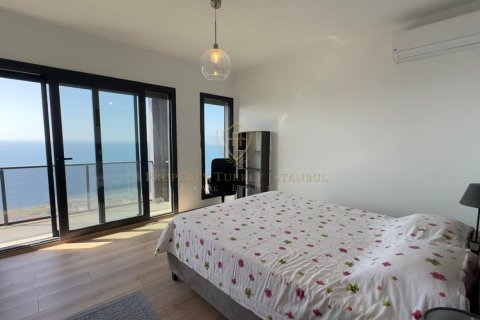 3+1 Villa  i Izmir, Turkiet Nr. 224934 - 4