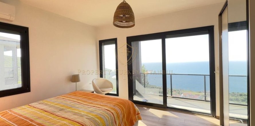 3+1 Villa  i Izmir, Turkiet Nr. 224934