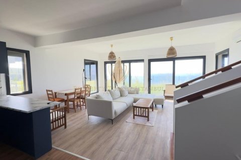 3+1 Villa  i Izmir, Turkiet Nr. 224934 - 15