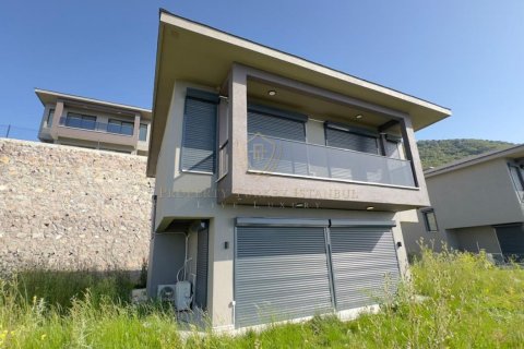 3+1 Villa  i Izmir, Turkiet Nr. 224934 - 19