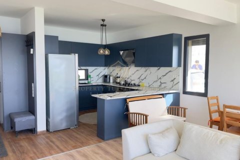 3+1 Villa  i Izmir, Turkiet Nr. 224934 - 11
