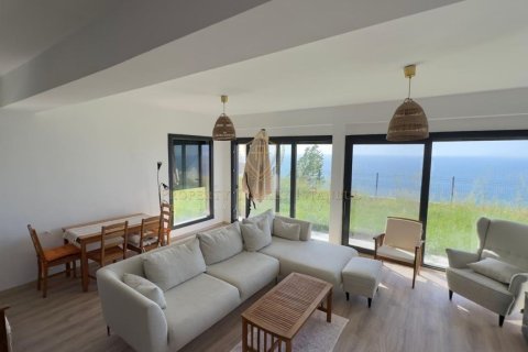 3+1 Villa  i Izmir, Turkiet Nr. 224934 - 9