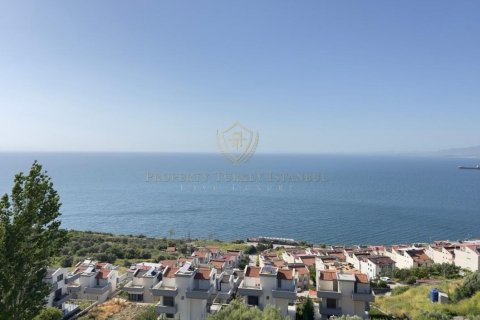 3+1 Villa  i Izmir, Turkiet Nr. 224934 - 18