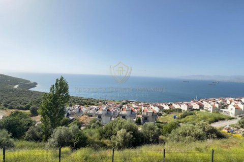 3+1 Villa  i Izmir, Turkiet Nr. 224934 - 17