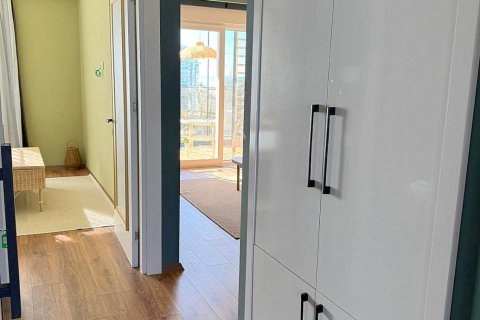 1+0 Lägenhet  i Avsallar, Antalya, Turkiet Nr. 224939 - 3