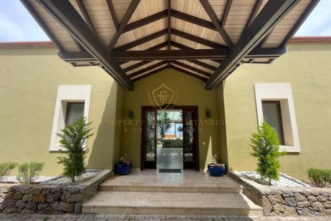 Villa for sale in Yalikavak, Mugla, Turkey, 10 bedrooms, 1700m2, No. 227089 – photo 14
