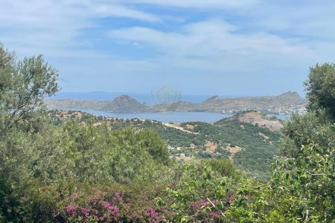 Villa for sale in Yalikavak, Mugla, Turkey, 10 bedrooms, 1700m2, No. 227089 – photo 21