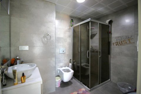 2+1 Lejlighed i Kestel, Antalya, Tyrkiet Nr. 218113 - 13