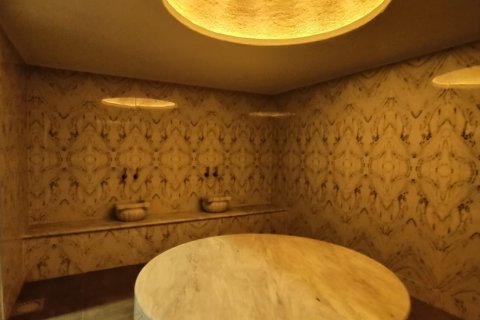 Daire  2+1  Mahmutlar, Antalya, Türkiye №226695 - 20