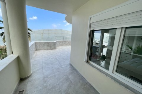2+1 Lägenhet  i Mahmutlar, Antalya, Turkiet Nr. 221274 - 8