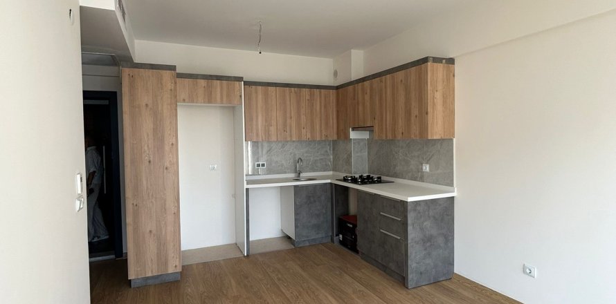 Daire 1+1 Antalya, Türkiye №228331