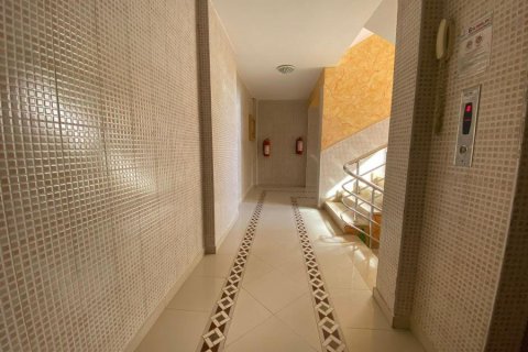 Wohnung  in Mahmutlar, Antalya, Türkei Nr. 216361 - 22
