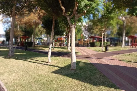2+1 Leilighet  i Mugla, Tyrkia Nr. 224024 - 24
