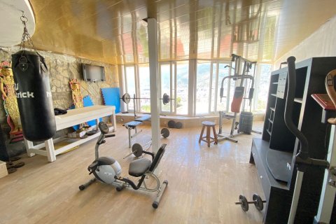 11+2 Villa in Alanya, Antalya, Türkei Nr. 237686 - 12
