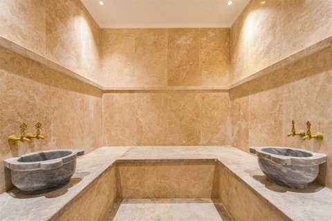 1+1 Lejlighed  i Alanya, Antalya, Tyrkiet Nr. 237689 - 29