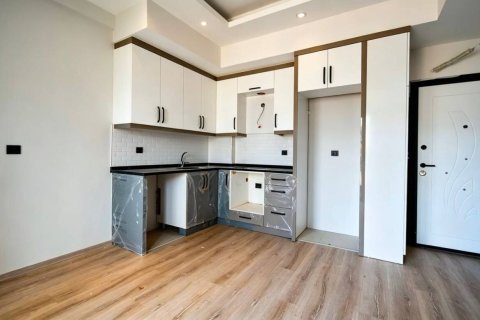Daire 1+1 Gazipaşa, Antalya, Türkiye №237688 - 10