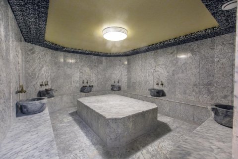 2+1 Lägenhet i Alanya, Antalya, Turkiet Nr. 216661 - 5