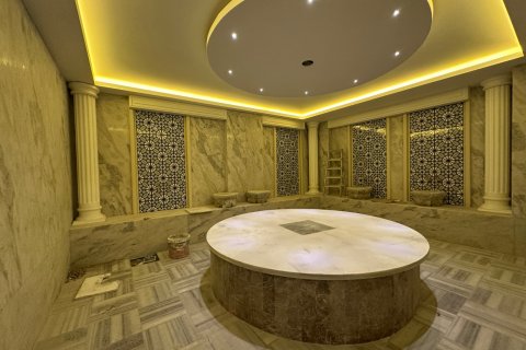 1+1 Wohnung in Alanya, Antalya, Türkei Nr. 216657 - 13