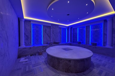 1+1 Wohnung in Alanya, Antalya, Türkei Nr. 216657 - 9