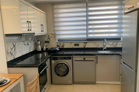 1+1 Wohnung in Alanya, Antalya, Türkei Nr. 219781 - 2