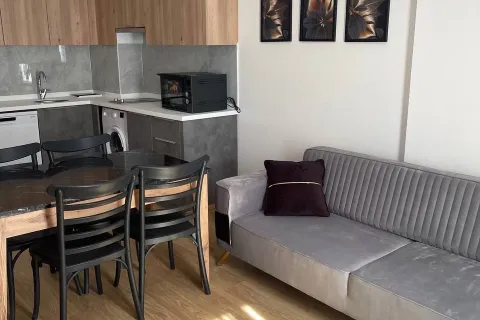 1+1 Lejlighed i Mugla, Tyrkiet Nr. 223484 - 8