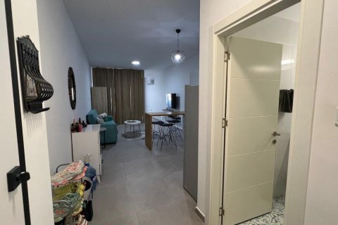 Продажа квартиры  в Лонг Бич, Искеле, Северный Кипр студия, 65м2, №214676 – фото 13