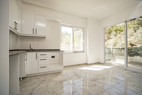1+1 Leilighet i Alanya, Antalya, Tyrkia Nr. 221625